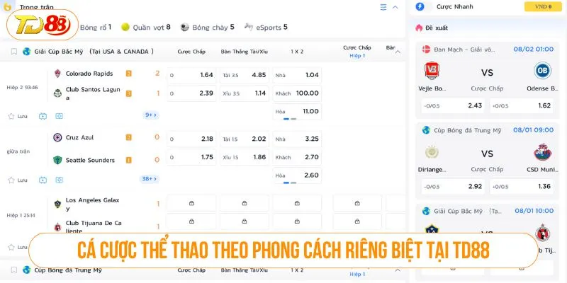 Thể Thao TD88 – Tận Hưởng Mọi Giải Đấu Ngay Trong Tầm Tay Cá cược thể thao theo phong cách riêng biệt tại TD88