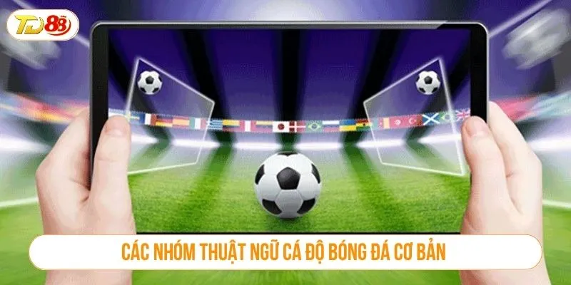 Các nhóm thuật ngữ cá độ bóng đá cơ bản 