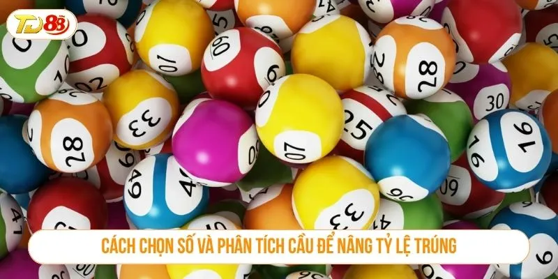 Bạch Thủ Lô Khung 2 Ngày Là Chiến Thuật Sinh Lời Ổn Định Tại TD88 Cách chọn số và phân tích cầu để nâng tỷ lệ trúng