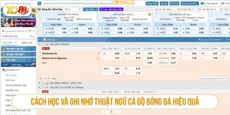 Cách học và ghi nhớ thuật ngữ cá độ bóng đá hiệu quả