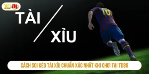 Cách soi kèo tài xỉu