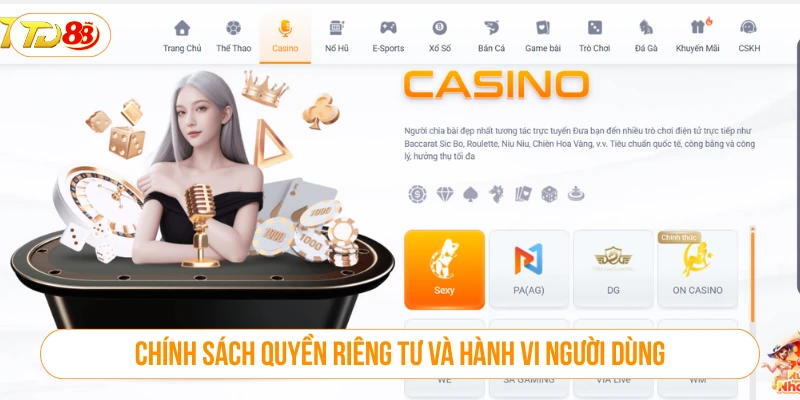 Chính Sách Bảo Mật TD88 - An Toàn Tuyệt Đối Cho Người Chơi Chính sách bảo mật về quyền riêng tư và hành vi người dùng