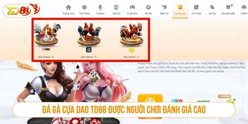 Đá Gà Cựa Dao TD88 Là Sân Chơi Cá Cược Đáng Trải Nghiệm Đá gà cựa dao TD88 được người chơi đánh giá cao