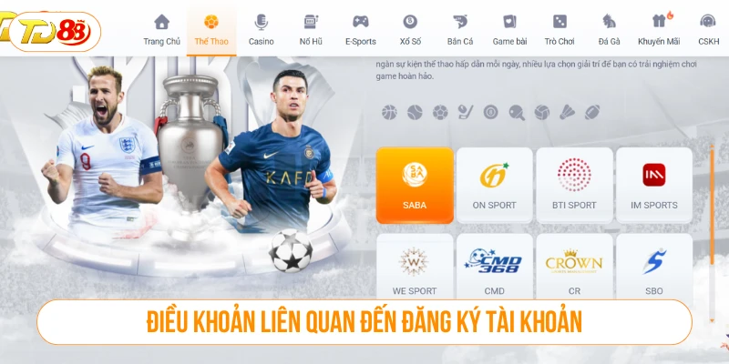 Điều khoản sử dụng liên quan đến đăng ký tài khoản