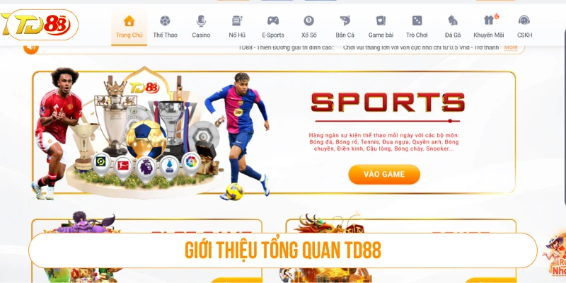 Giới thiệu tổng quan về nhà cái TD88
