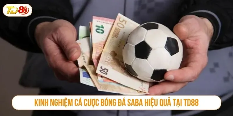 Kinh nghiệm cá cược bóng đá SABA hiệu quả tại TD88
