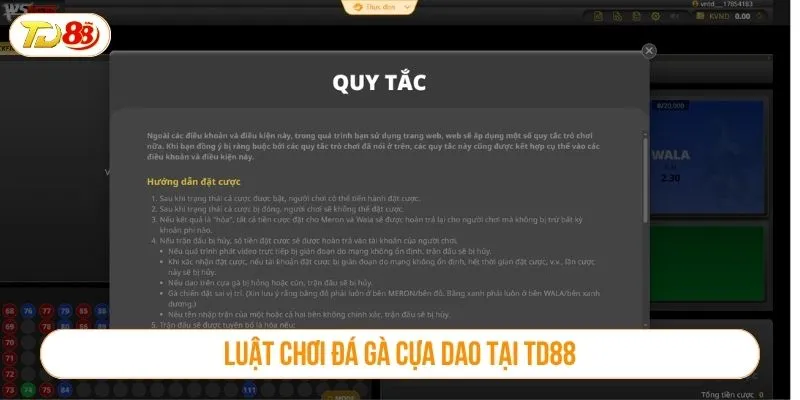 Đá Gà Cựa Dao TD88 Là Sân Chơi Cá Cược Đáng Trải Nghiệm Luật chơi đá gà cựa dao tại TD88